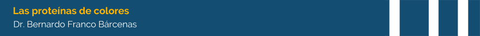 titulo proteinas