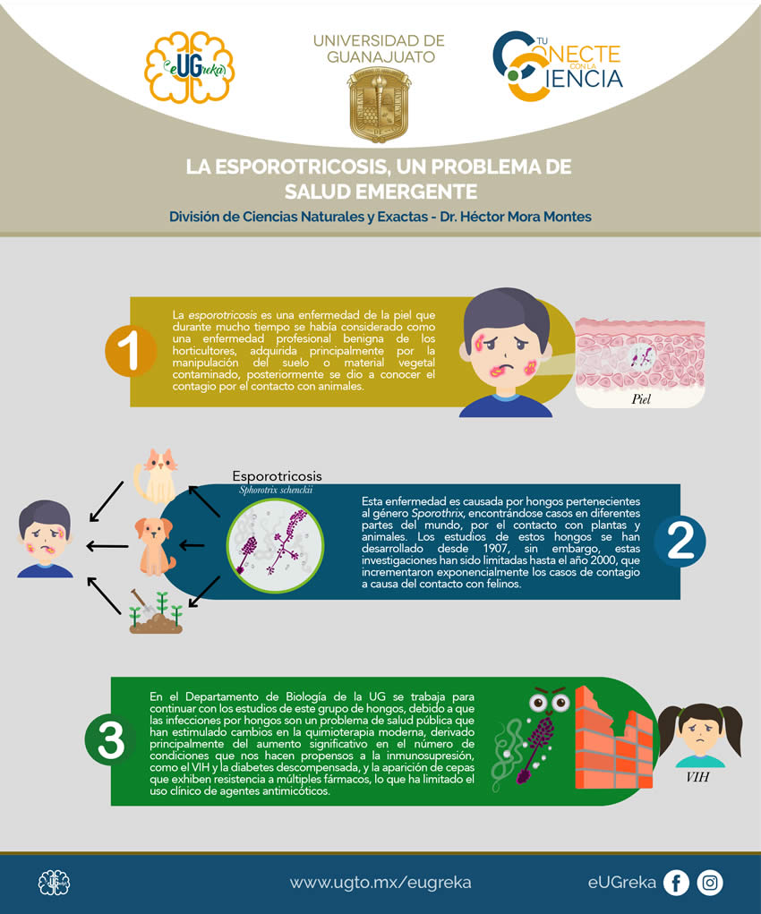 infografia