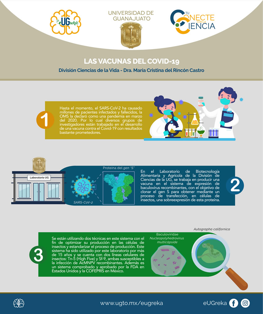 infografia