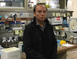 dr j felix gutierrez corona