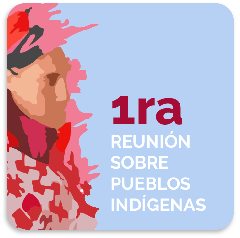 Logo-1era. Reunión de Pueblos Indígenas