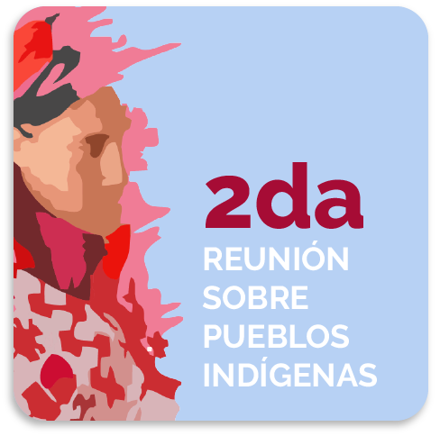 Logo-2da. Reunión de Pueblos Indígenas