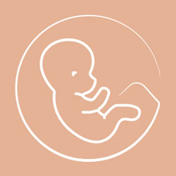 origen de la salud y de la enfermedad durante