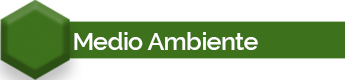 boton medio ambiente