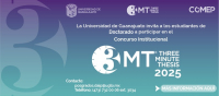 3MT 2025 (Three Minutes Thesis®)