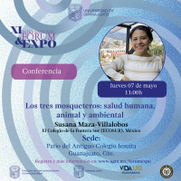 Los tres mosqueteros: salud humana, animal y ambiental