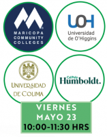 Sostenibilidad en las IES: miradas y retos