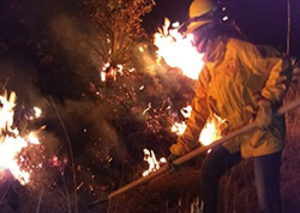 Se crea en la UG IGNIS APP, para reportar incendios forestales 