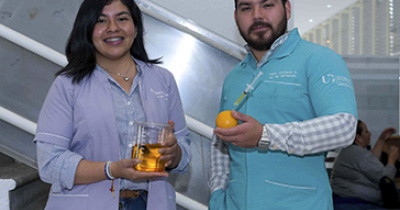 Analizan la relación entre genes y cerebro