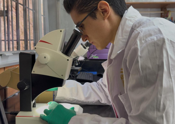 Investigador UG busca fortalecer el sistema inmune de plantas ante infecciones causadas por hongos