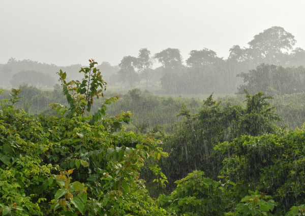 Continuarán lluvias en Guanajuato durante esta semana; se intensificarán a partir del jueves