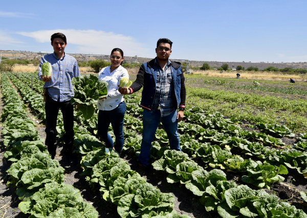 Estudiantes UG adquieren competencias profesionales en el manejo de sistemas de producción agrícola