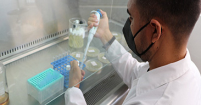 Desarrolla UG proyecto para extraer contaminantes del agua con fibras del nopal 