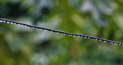 Inicia junio con lluvias y ambiente más fresco, de acuerdo con el Área de Ciencias Atmosféricas de la UG