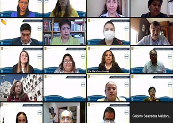  Comienza CIEES el proceso de evaluación de la Lic. en Enfermería y Obstetricia a distancia con fines de acreditación