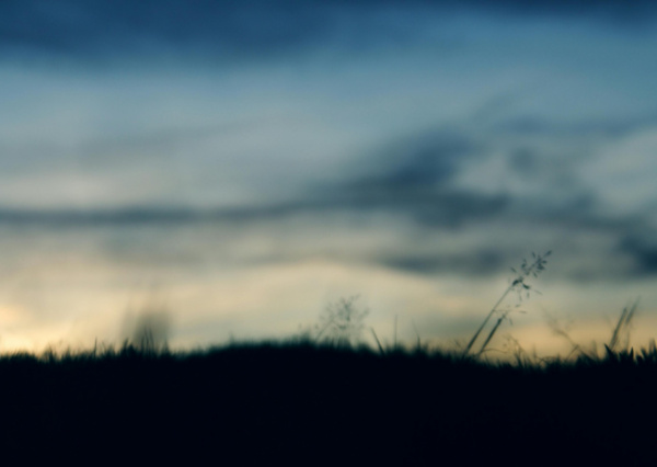 Meteorólogo de la UG anticipa escasa probabilidad de heladas esta semana, pero habrá aumento de vientos