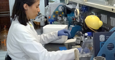 Invitan a participar en edición virtual del Verano de la Ciencia UG 