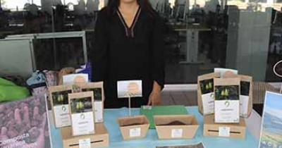 Estudiantes UG desarrollan productos y servicios para responder a problemáticas sociales