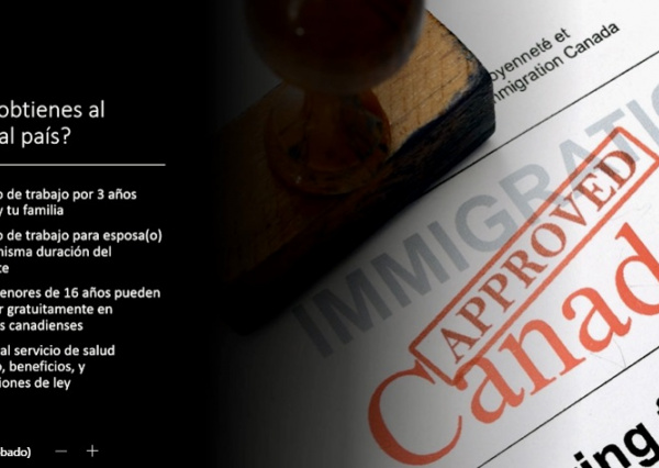 UG Campus Irapuato - Salamanca se vincula con empresas canadienses productoras de ganado bovino 