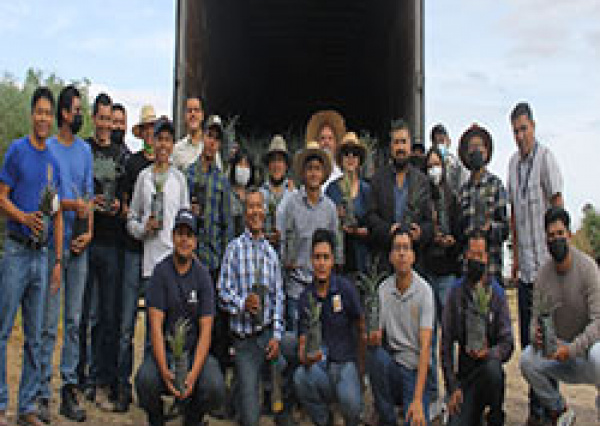 UG en Irapuato recibe donación de 9 mil árboles de la Fundación Grupo México A.C.