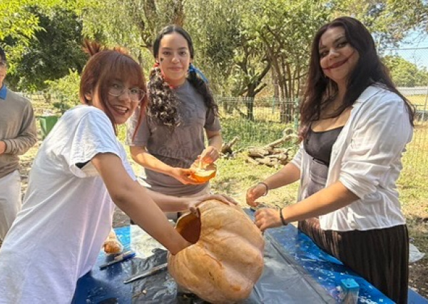 Estudiantes de Nivel Medio Superior celebran el “Pumpkin Carving” e internacionalización con creatividad