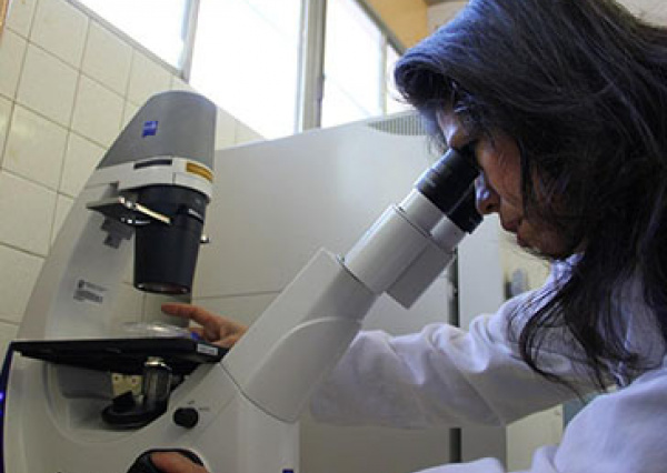 UG refrenda su liderazgo en investigación científica con 207 proyectos de alto impacto social 