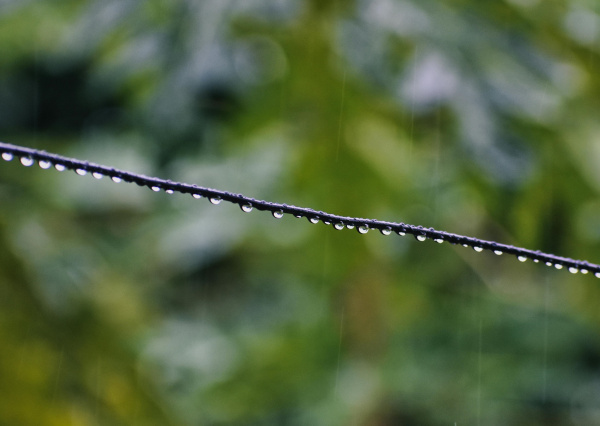 Las lluvias persistirán esta semana, advierte meteorólogo de la UG