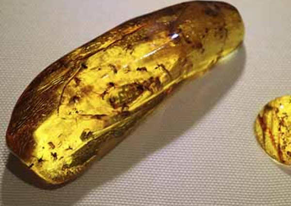 Realizan investigación para preservar el trabajo artesanal del ámbar