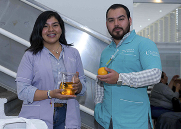 Analizan la relación entre genes y cerebro