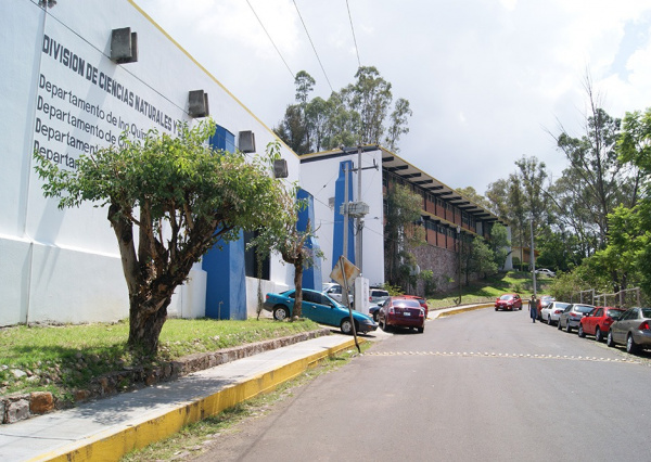 Comienza etapa de consulta a la comunidad universitaria de la DCNE para designar a su Titular de División