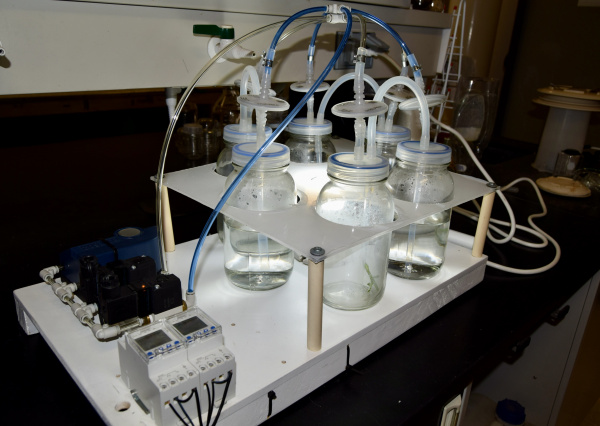 UG, UAA y Unidad del IPN obtienen patente por tecnología de micropropagación del agave