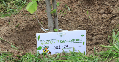 Promueven la generación de espacios verdes a través de Huellas Verdes UG