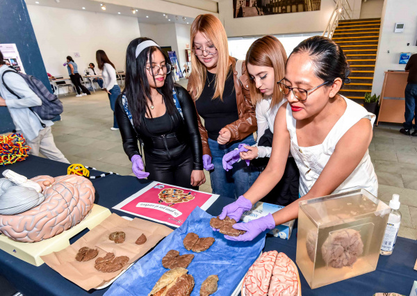 UG abre el diálogo sobre la salud mental con actividades para todas las edades