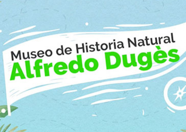 Estudiantes del CNMS vivirán experiencias virtuales con el Museo Dugès 