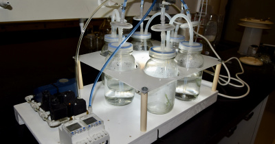 UG, UAA y Unidad del IPN obtienen patente por tecnología de micropropagación del agave