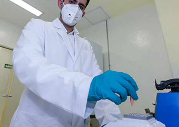 Realizarán muestreo aleatorio de la comunidad universitaria con pruebas PCR desarrolladas en la UG   