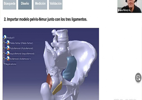 SOMIB premia artículo de modelado tridimensional desarrollado entre la UG y la Universidad de Zaragoza