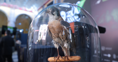 La Universidad de Guanajuato celebra el legado científico de Alfredo Dugés a 200 años de su natalicio