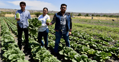 Estudiantes UG adquieren competencias profesionales en el manejo de sistemas de producción agrícola