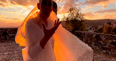 Danza para no humanos, propuesta de reconciliación con el entorno físico, animal y vegetal  