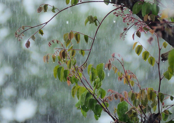 Prevé Observatorio Meteorológico de la UG una semana con lluvias y vientos ligeros en Guanajuato