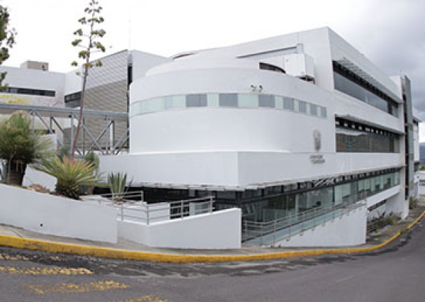  Retorno gradual en un esquema corresponsable, la estrategia en la DAAD