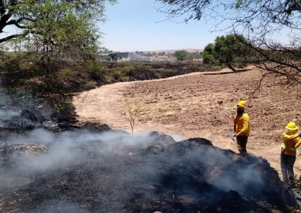 Grupo de especialistas de la UG analizará efectos del incendio; plantean colaboración con autoridades ambientales y de salud