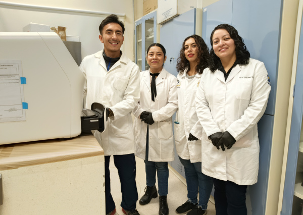 Plantas medicinales en México, aliadas naturales contra la obesidad y el síndrome metabólico