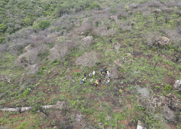 Comunidad del Campus Guanajuato participa en restauración ecológica del área quemada en Sede Marfil 