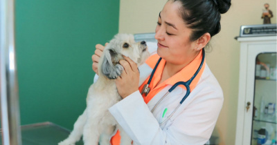Egresada de la UG impulsa la protección y bienestar animal en Silao