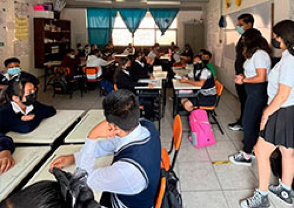 “Abejas que Construyen” una manera de fomentar la Cultura de Paz