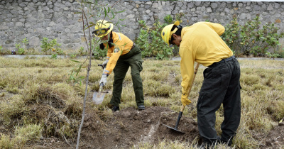 La UG fortalece sus espacios verdes con jornadas de reforestación por el Día Mundial del Medio Ambiente 