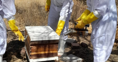 Enseñan técnicas de manejo de colmenas y apiarios en la UG 