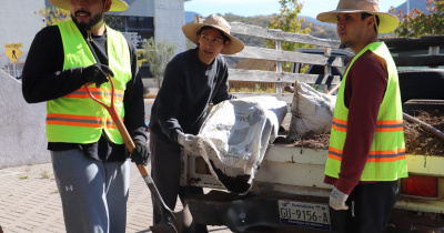 Comunidad del Campus Guanajuato trasplanta 35 retoños de árbol